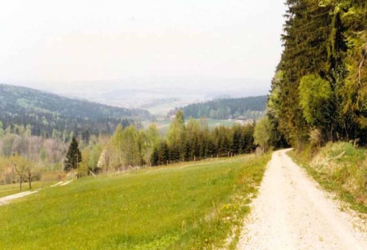 Ferienpension Posthof Waldmünchen Kültér fotó
